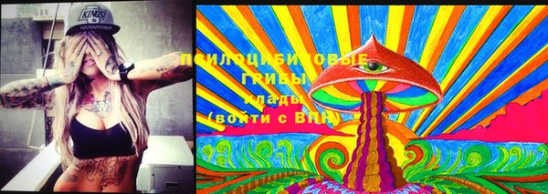 хмурый Надым