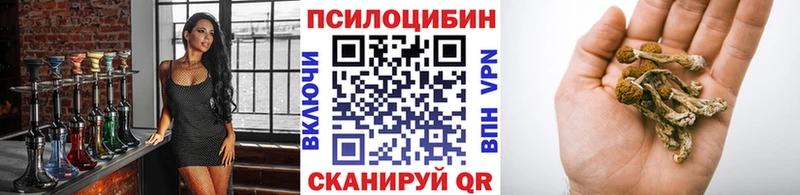 Псилоцибиновые грибы мухоморы  Купить закладки  Ачинск 