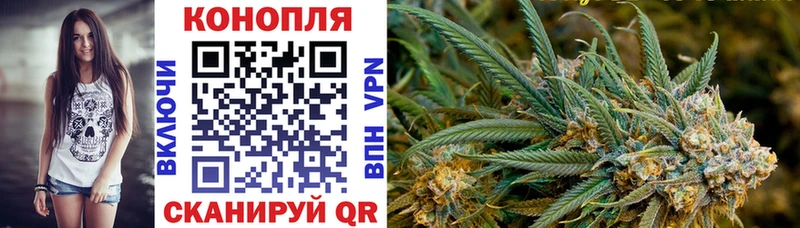 Купить  Ачинск  Канабис OG Kush 